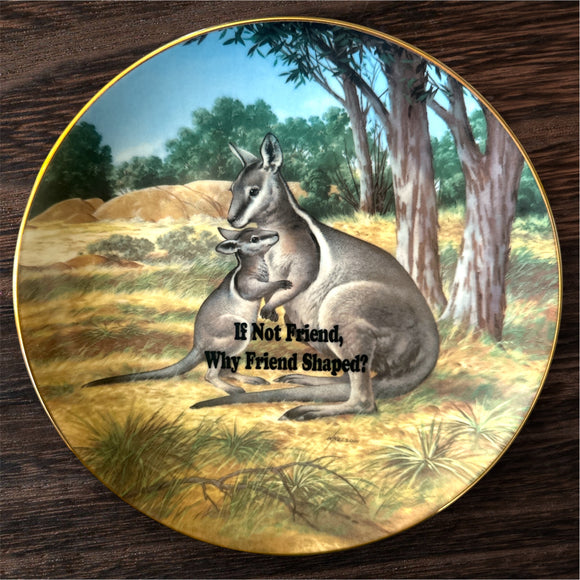 If Not Friend, Why Friend Shaped?