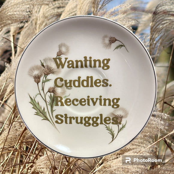 Wanting Cuddles. Receiving Struggles
